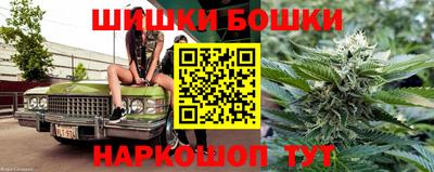 прущие крисы Ставрополь