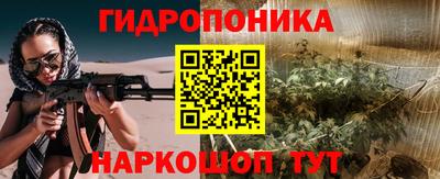прущие крисы Ставрополь