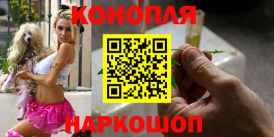 прущие крисы Ставрополь