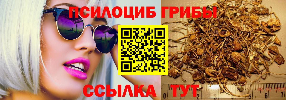 Псилоцибиновые грибы прущие грибы  Вход с VPN  Осинники 